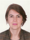 Prof. Dr. SAYAD KOCAHAN